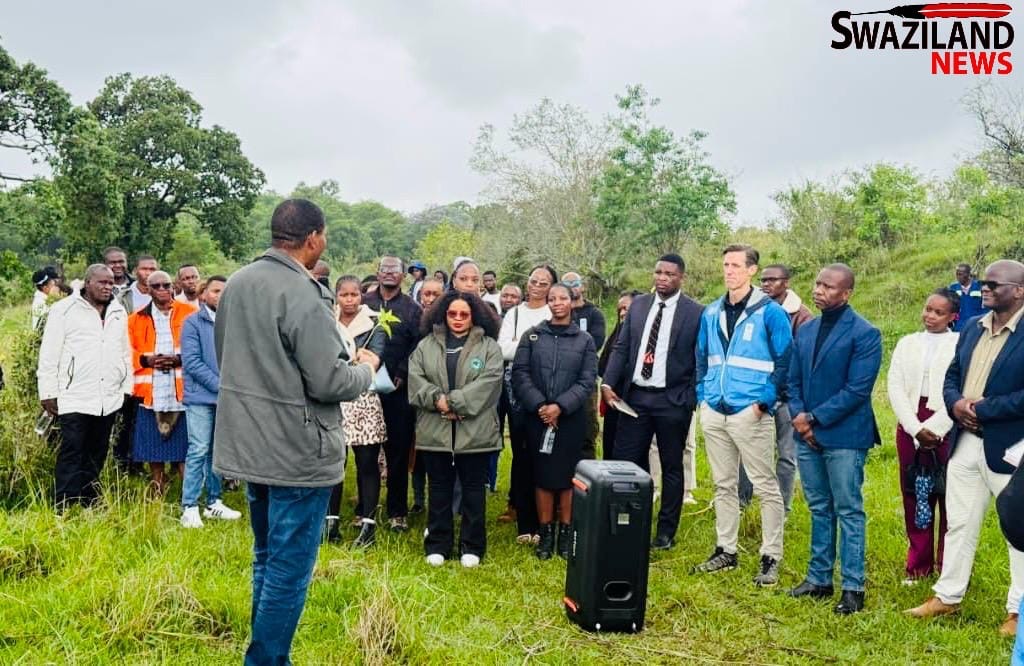 UNDP Resident Representative Henrik Franklin calls for nature-based solutions to protect environment and tackle climate-change challenges.
