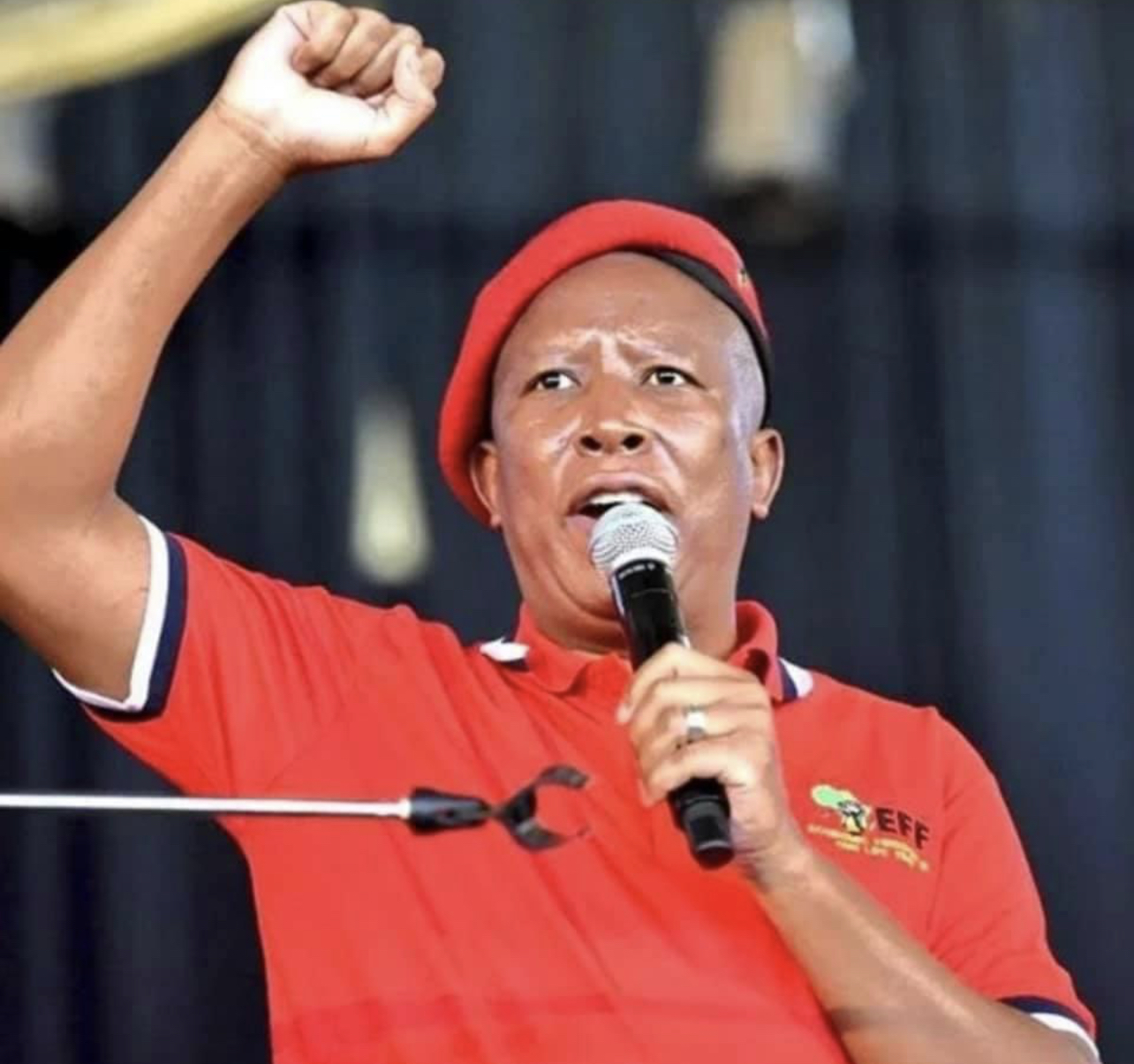 Why King Mswati’s Government fear Julius Malema’s calls for democratic reforms.