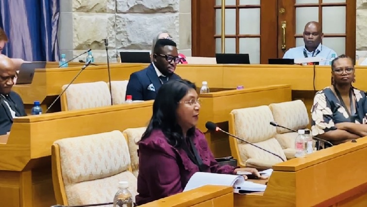 Investigating Directorate against Corruption(IDAC) Head Advocate Andrea Johnson says she received death threats after arresting Crime Intelligence boss Dumisani Khumalo.