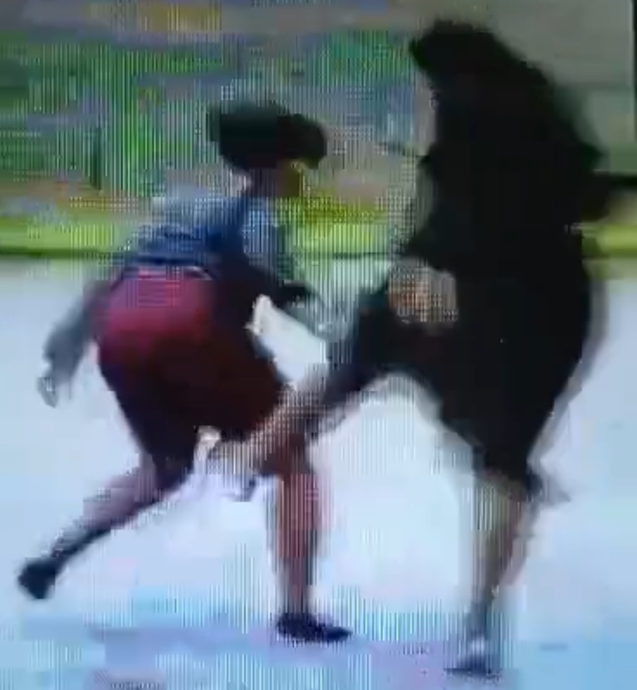 BREAKING NEWS:Eswatini police invades Dwaleni Farm Lodge amid assault of employees allegations against owner Busisiwe Mabuza, business found operating with expired license and violating labour laws.