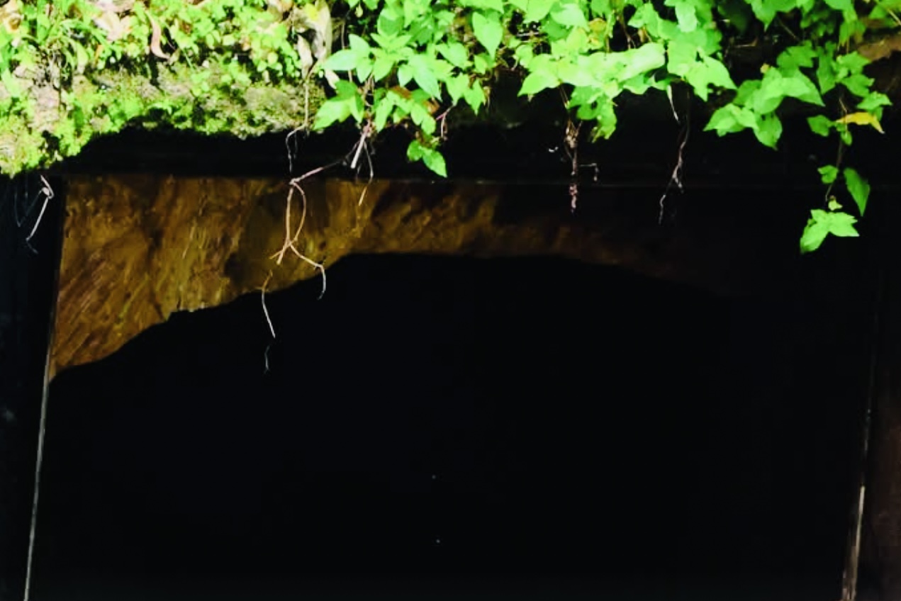 REVEALED: Army Commander Moses Mashikilisane Fakudze implicated in Pigg’s Peak ‘Zama Zama’ gold smuggling syndicate, arrested suspects disclose how they bribed soldiers to steal mineral triggering OSSU intervention.