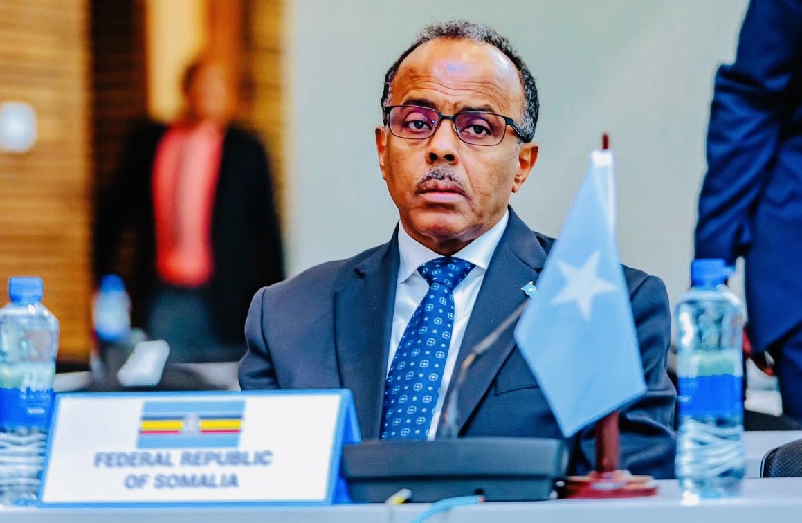 Somalia Foreign Minister Ali Omar says country’s territory cannot be used by Israel to attack other countries.