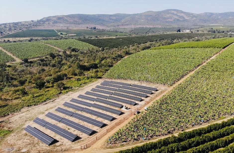 Ngonini Estate General Manager George Brown fires workers for demanding their withheld R2000.00 school fees benefits and toilet papers.