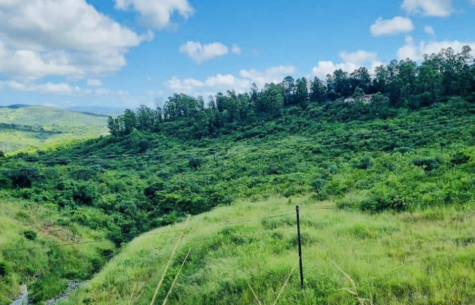 REVEALED:Chief Justice accused of manipulating Master of the High Court and colluding with Philani Maswati Chairman to steal late Adolf Ngwenyama’s over R10million Farm, Lutfo Dlamini says “it was donated to King Mswati”.