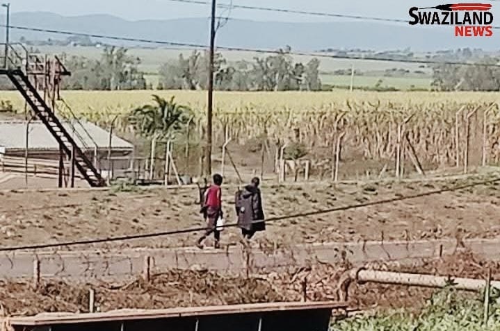 Royal Eswatini Sugar Corporation(RESc) confirms receiving complaints from ‘Bomagawulane’ workers allegedly abused by contractors, Spokesperson Ashmond Fakudze says “issues being addressed”.