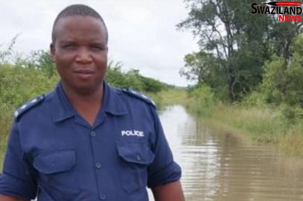 REVEALED:Tshaneni Acting Station Commander who commanded the police to destroy dagga at Sikhunyane-Njakeni was transferred from Siteki after impregnating married cop LaTfwala, is also a dagga farmer.