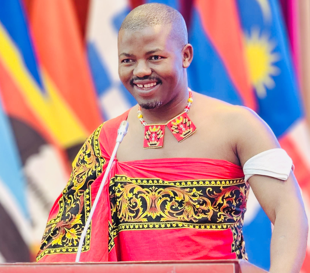 Editor Zweli Martin Dlamini addresses Chinese Ministry of Commerce Seminar for editors in Beijing, appeals to President Xi Jinping to remember financially struggling emaSwati for scholarships and other opportunities.