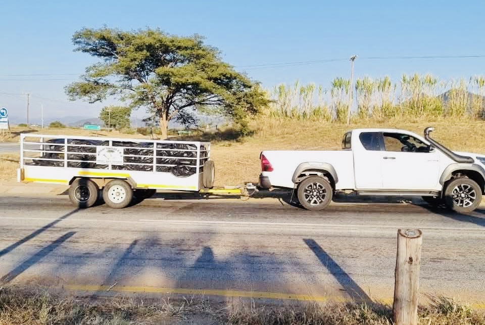  South African police arrest eSwatini man transporting dagga worth R8million.